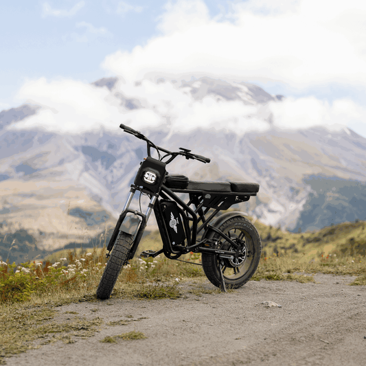 Freego F2 Pro con consejos de batería de e-bike para el clima de México