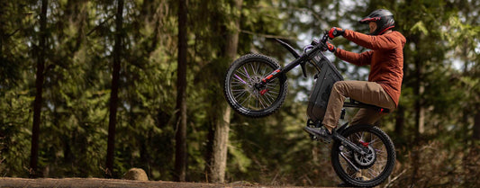 La evolución de Freego: Cómo la marca ha redefinido el mercado de las bicicletas eléctricas