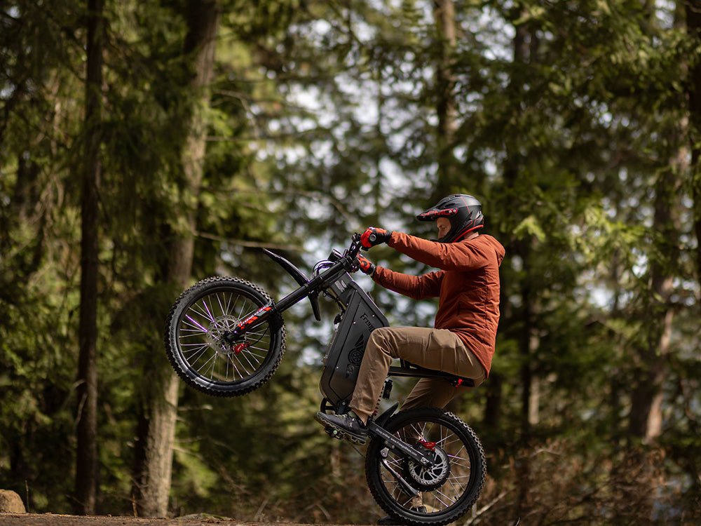 Freego X2 Pro All-Terrain Dirt eBike Mountain