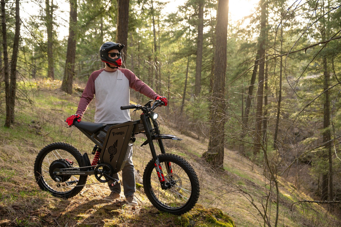 Freego X2 Pro eBike de Cross Todoterreno