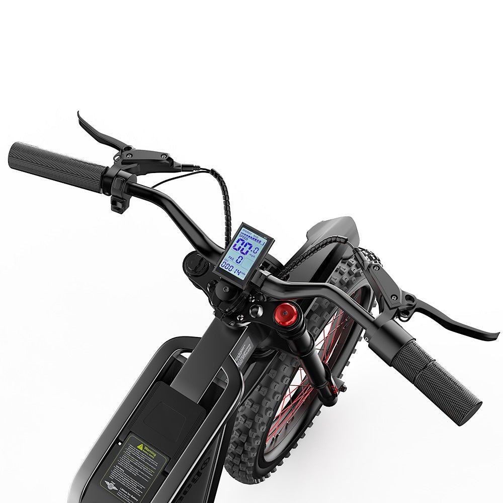 Freego X2 Pro All-Terrain Dirt eBike Controls