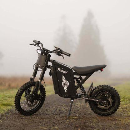 A Freego X0 electric dirt bike parked on a gravel path during a foggy morning, showcasing its rugged frame.